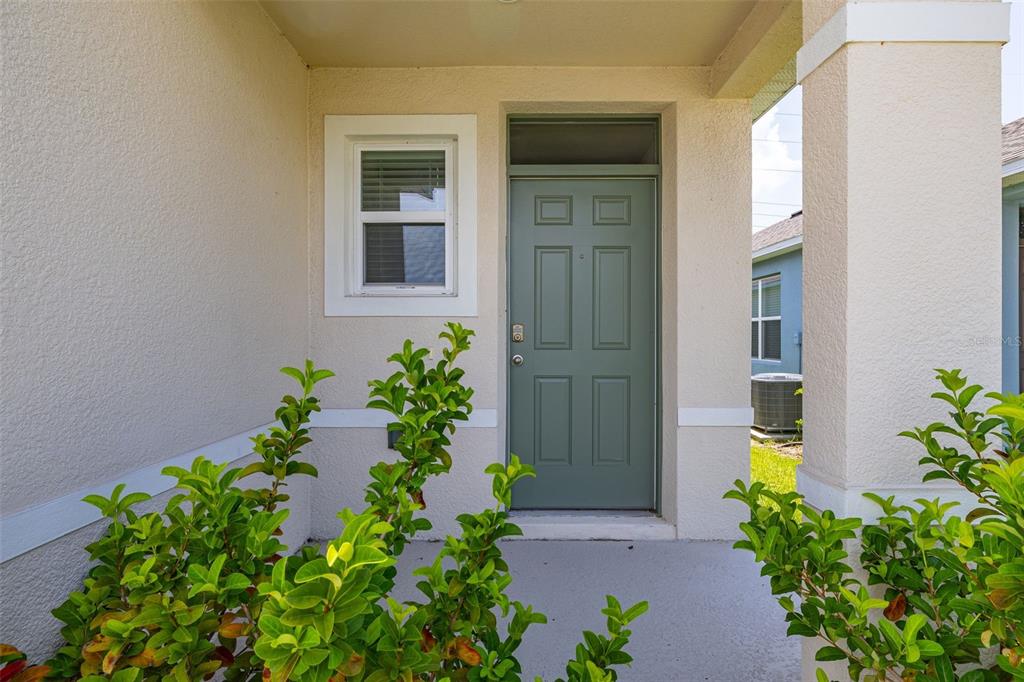 A front entryway features a sage green door, a window, and green shrubs in the foreground — 2842 WATERLILY WAY, KISSIMMEE, FL