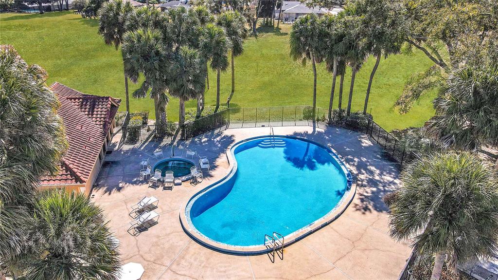 An aerial view of a kidney-shaped swimming pool and hot tub on a concrete patio — 1192 N FAIRWAY DRIVE, APOPKA, FL