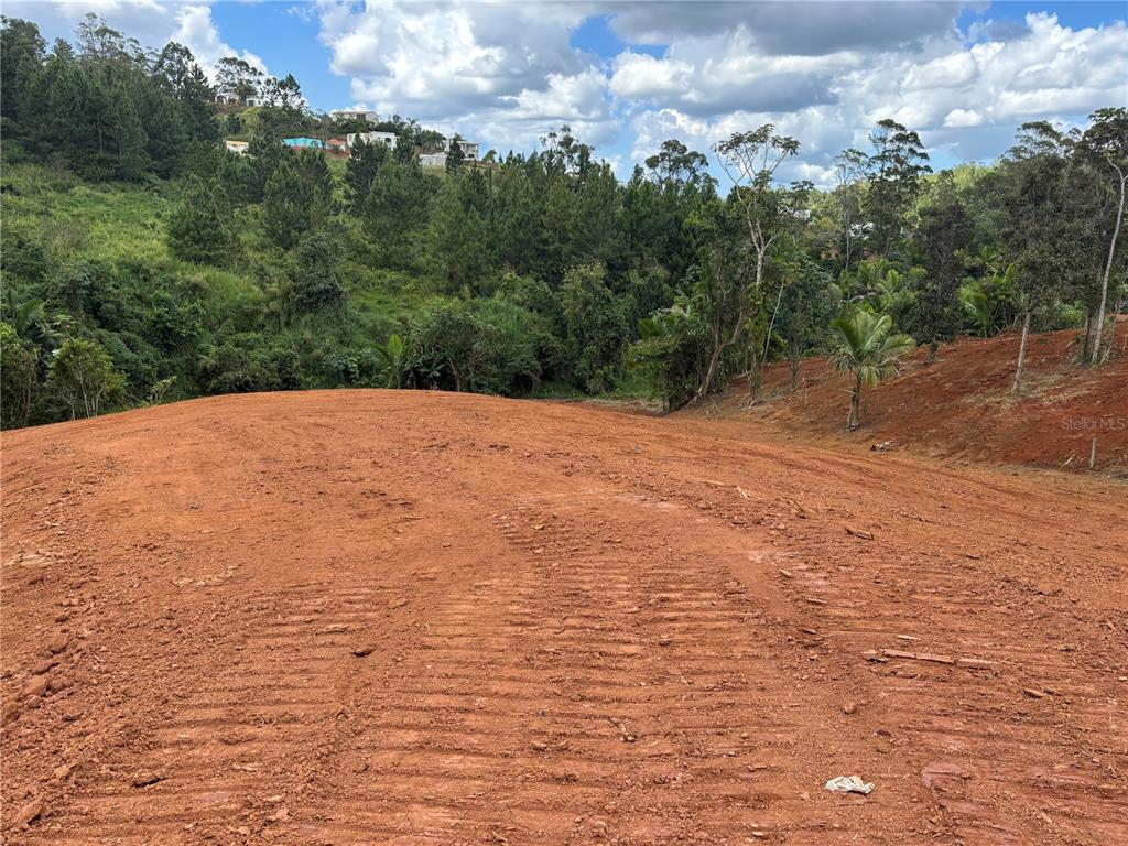 CARR 569 KM 2.7 INT BO. SABANA