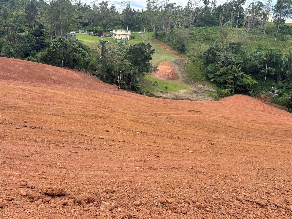 A large, sloped plot of cleared red dirt overlooks a house and surrounding forest — CARR 569 KM 2.7 INT BO. SABANA, OROCOVIS, PR