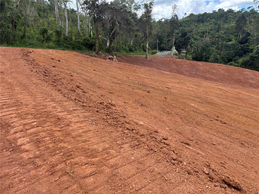 A large, sloped plot of cleared red earth sits adjacent to a wooded area — CARR 569 KM 2.7 INT BO. SABANA, OROCOVIS, PR