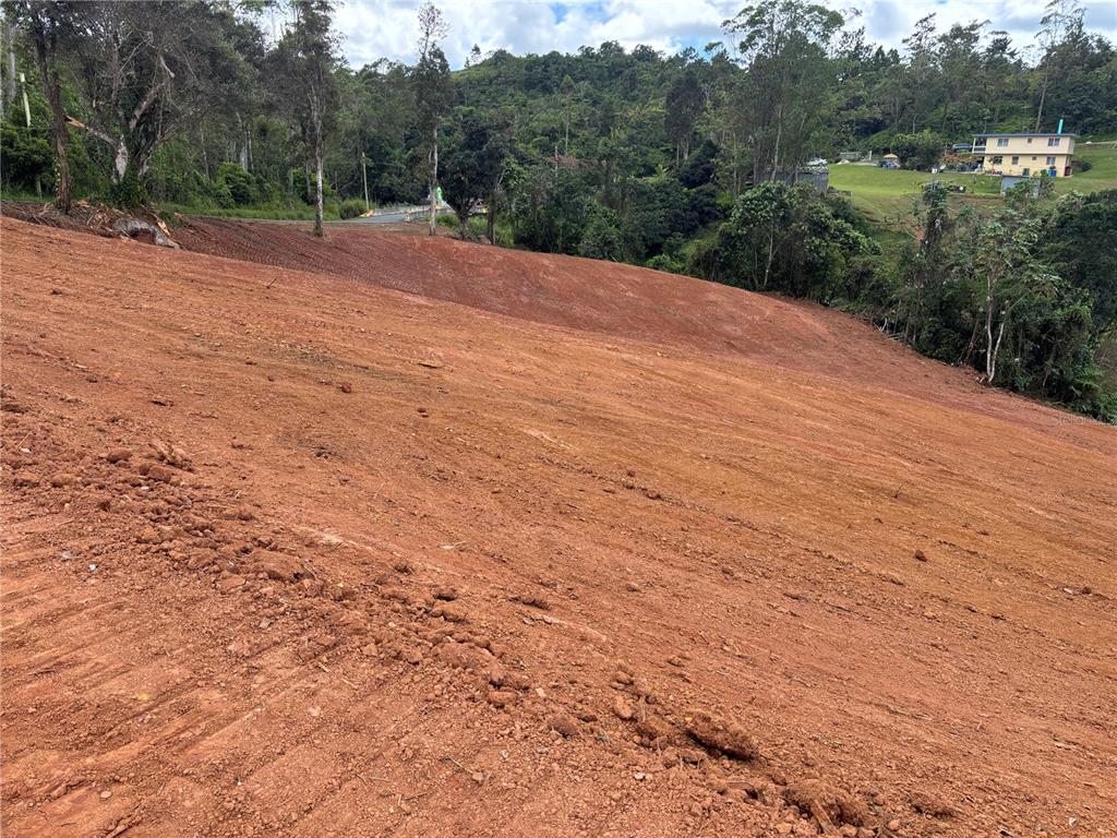 A large, cleared, sloped plot of red dirt land surrounded by trees and distant houses — CARR 569 KM 2.7 INT BO. SABANA, OROCOVIS, PR