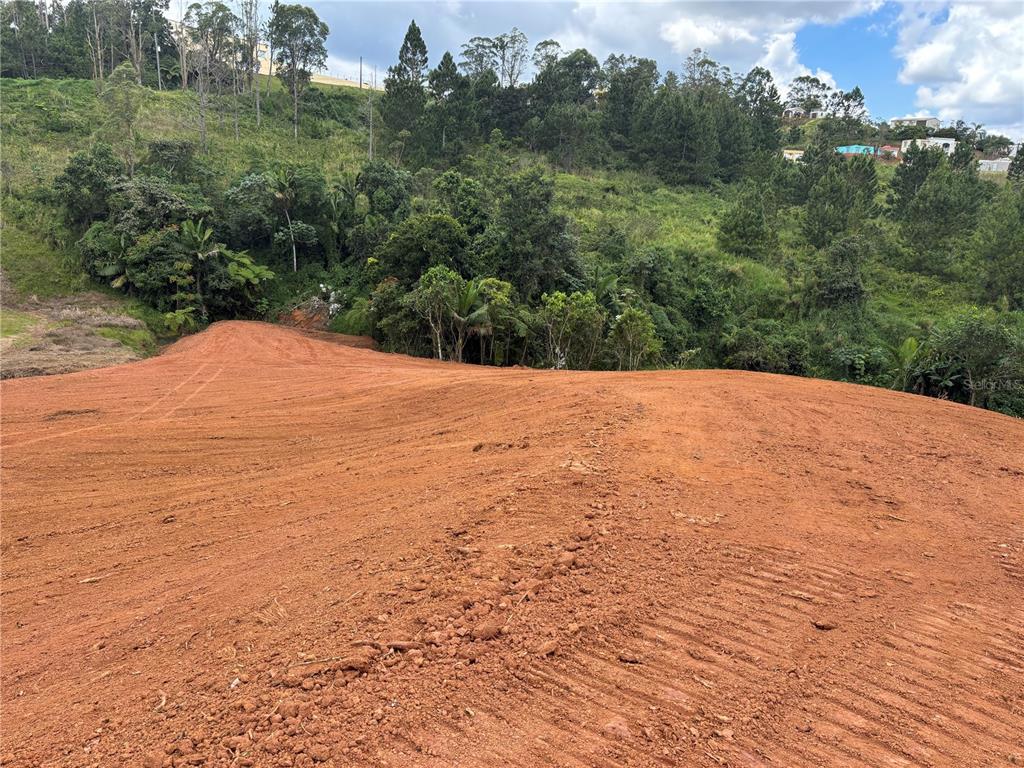 A cleared, sloped plot of red dirt land sits in front of a wooded hillside — CARR 569 KM 2.7 INT BO. SABANA, OROCOVIS, PR