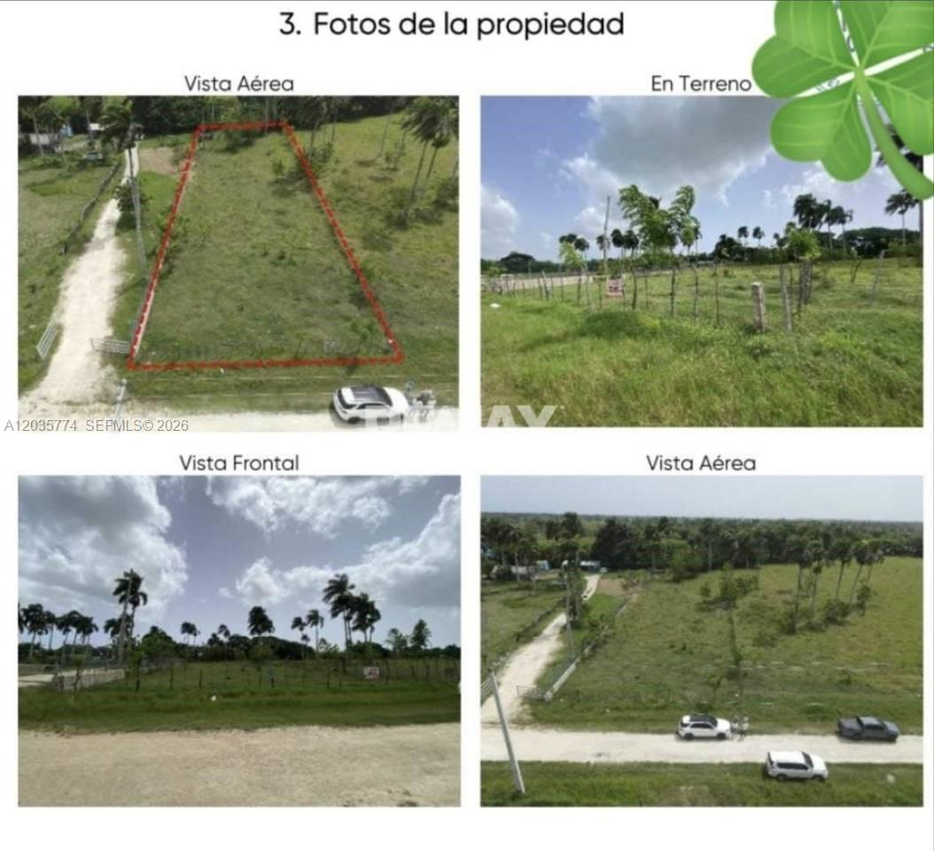 Four photos show an undeveloped plot of land with grass, trees, and a dirt road — macao, FL