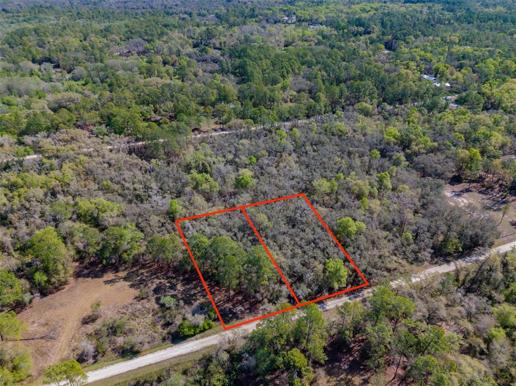 An aerial view shows two adjacent, wooded rectangular lots outlined in red along a road — 7262 SONIA AVENUE, WEBSTER, FL