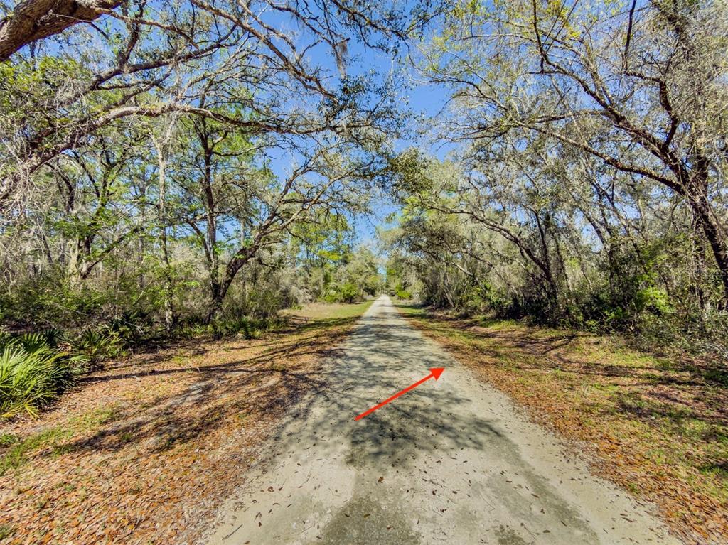 A dirt road stretches through a wooded area with overhanging trees under a clear sky — 7262 SONIA AVENUE, WEBSTER, FL