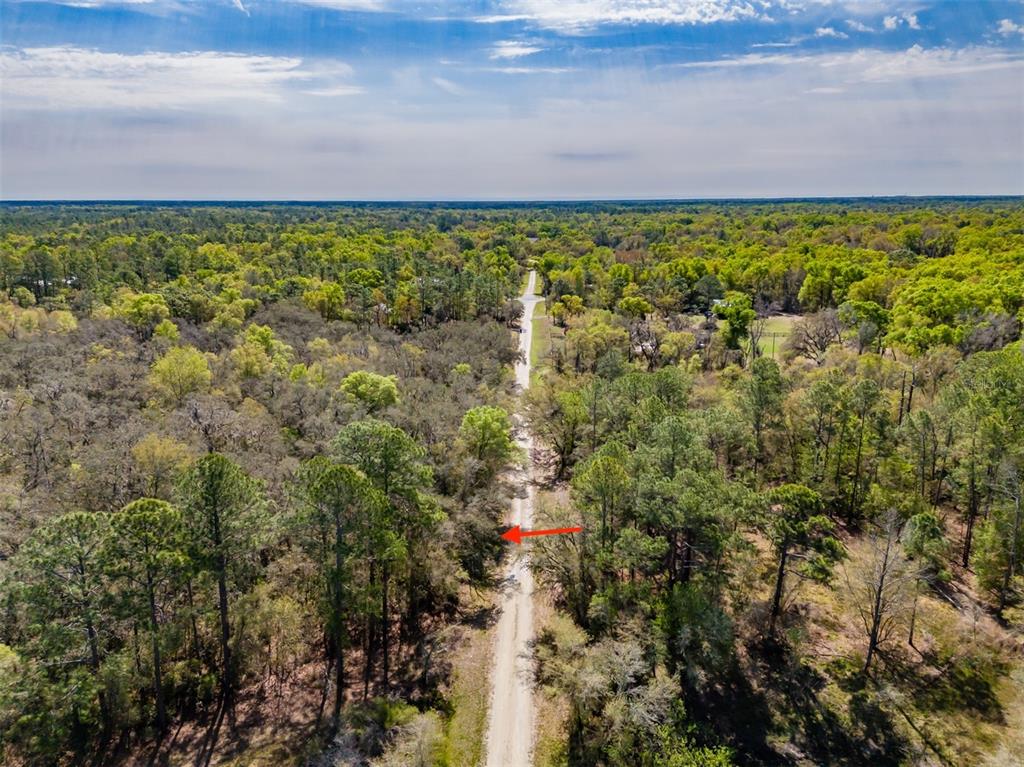 An aerial view shows a dirt road running through a dense, wooded forest area — 7262 SONIA AVENUE, WEBSTER, FL