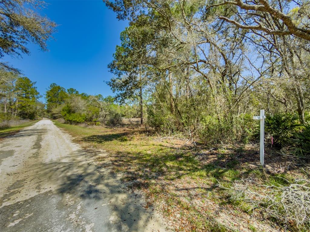 A dirt road runs alongside a wooded lot with a white real estate sign — 7262 SONIA AVENUE, WEBSTER, FL