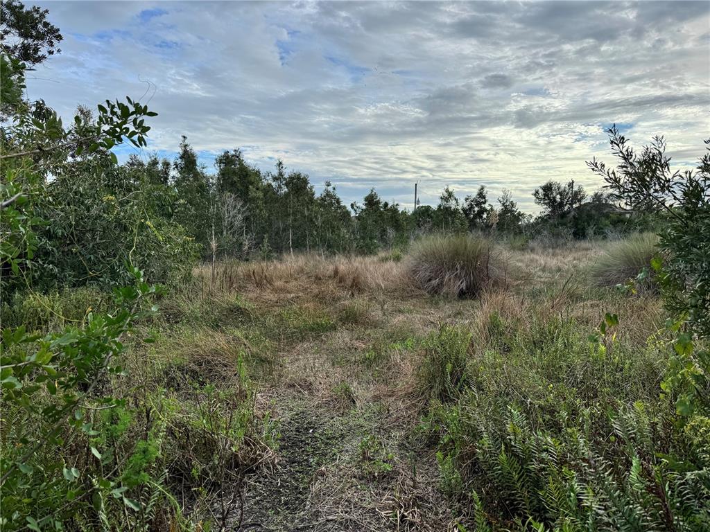 An overgrown, grassy vacant lot with scattered shrubs and a line of trees in back — 15769 HENNIPEN CIRCLE, PORT CHARLOTTE, FL