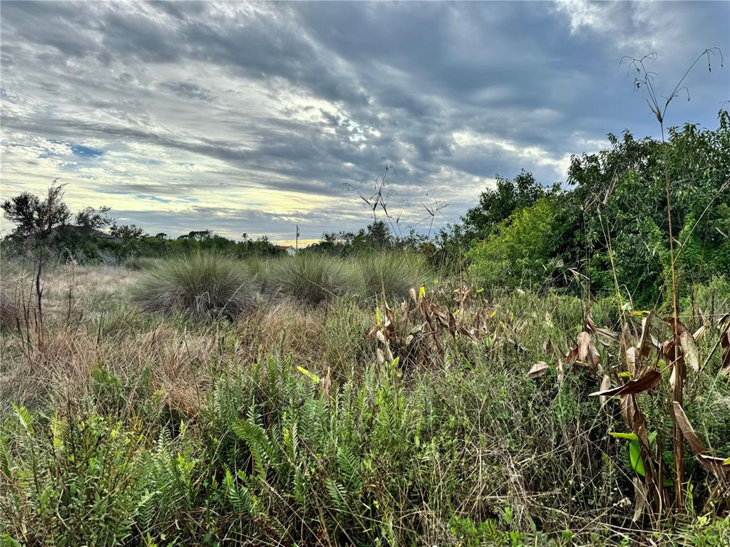 A view of an overgrown, grassy vacant lot under a cloudy sky — 15769 HENNIPEN CIRCLE, PORT CHARLOTTE, FL