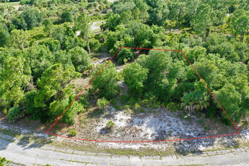 An aerial view shows a vacant, wooded lot outlined in red along a paved road — JERSEY STREET, NORTH PORT, FL
