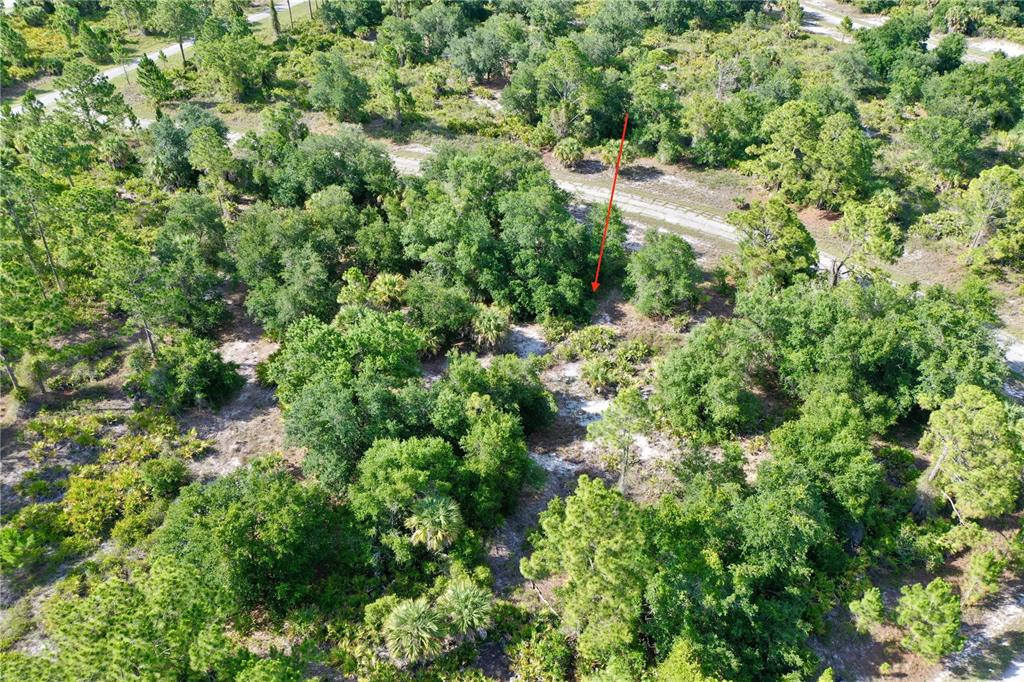 An aerial view shows a densely wooded, undeveloped plot of land with a red arrow — JERSEY STREET, NORTH PORT, FL