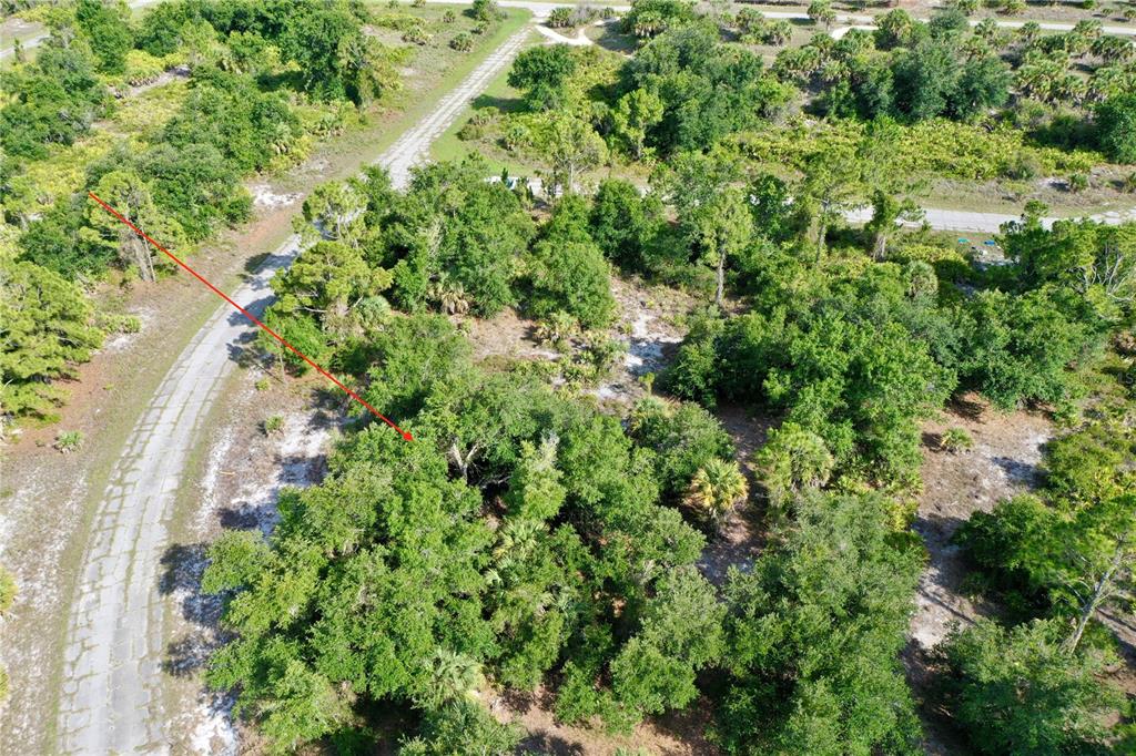 An aerial view shows a wooded, undeveloped lot bordered by a paved road — JERSEY STREET, NORTH PORT, FL