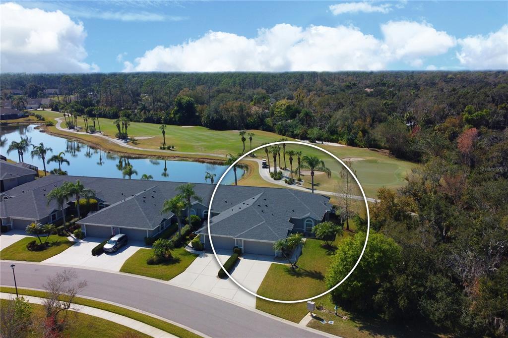 5253 CHASE OAKS DRIVE