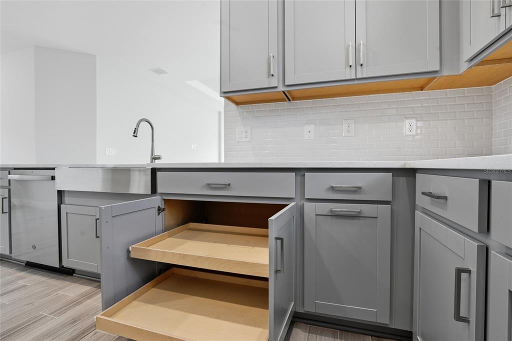 A kitchen features gray shaker-style cabinets, a farmhouse sink, and pull-out storage drawers — 4718 GAROFALO ROAD, WESLEY CHAPEL, FL