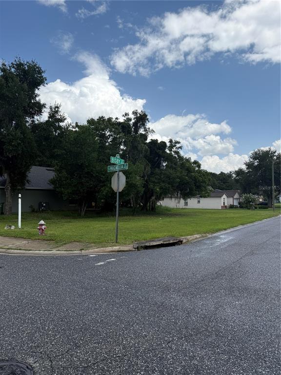 A grassy corner lot features a street sign, a fire hydrant, and mature trees — MAGNOLIA STREET, LEESBURG, FL