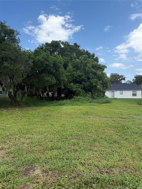 A grassy lot features a large cluster of trees next to a white house — MAGNOLIA STREET, LEESBURG, FL