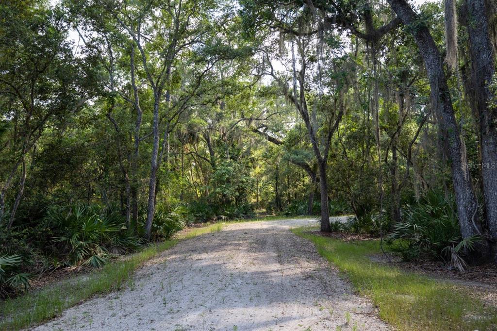 A dirt road winds through a wooded area with tall trees and hanging Spanish moss — 10 LEXINGTON COURT, FLAGLER BEACH, FL