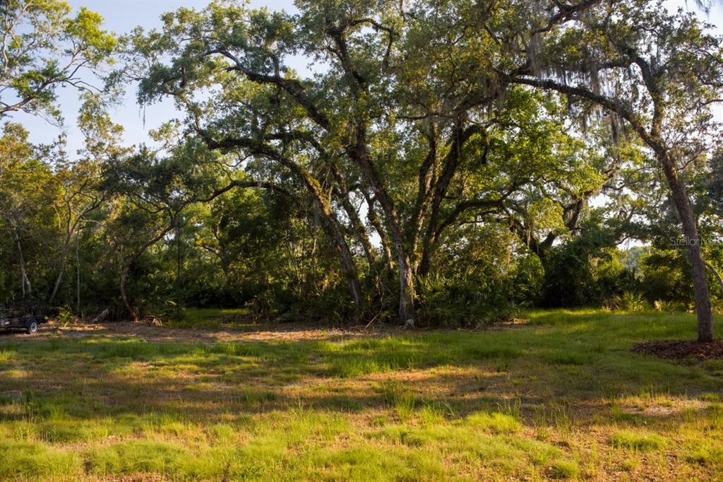 A grassy, partially cleared lot features several large, mature oak trees with hanging Spanish moss — 10 LEXINGTON COURT, FLAGLER BEACH, FL