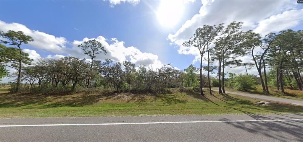 A view of a grassy, wooded vacant lot from the side of a paved road — COMMONWEALTH AVENUE N, POLK CITY, FL