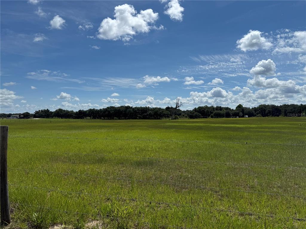SW 60TH AVE, BUSHNELL, FL — photo 2 of 20