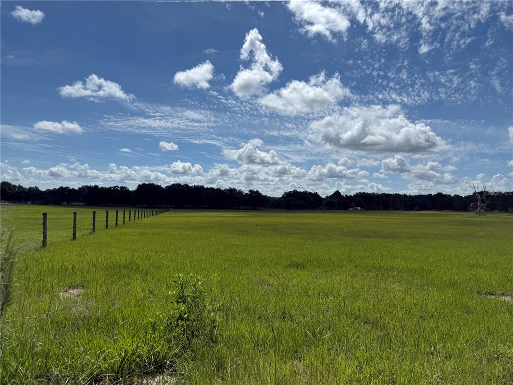 SW 60TH AVE, BUSHNELL, FL — photo 3 of 20