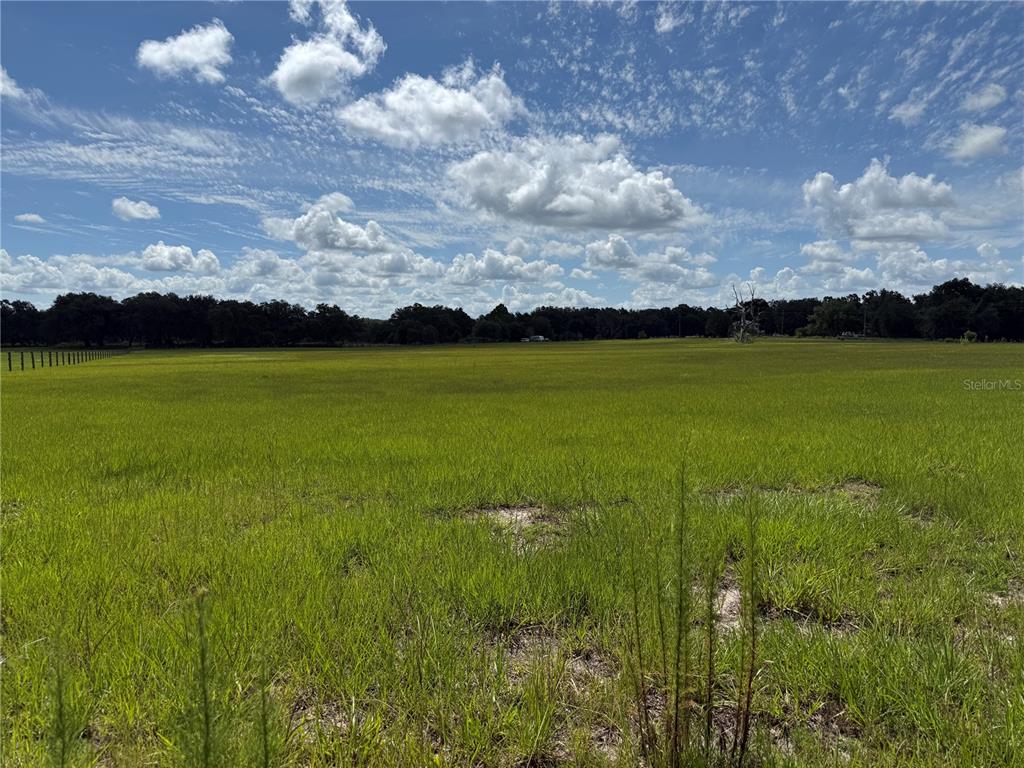 SW 60TH AVE, BUSHNELL, FL — photo 4 of 20
