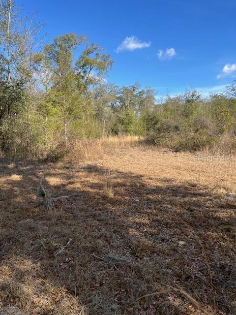 NW 7TH STREET, OCALA, FL — photo 2 of 7