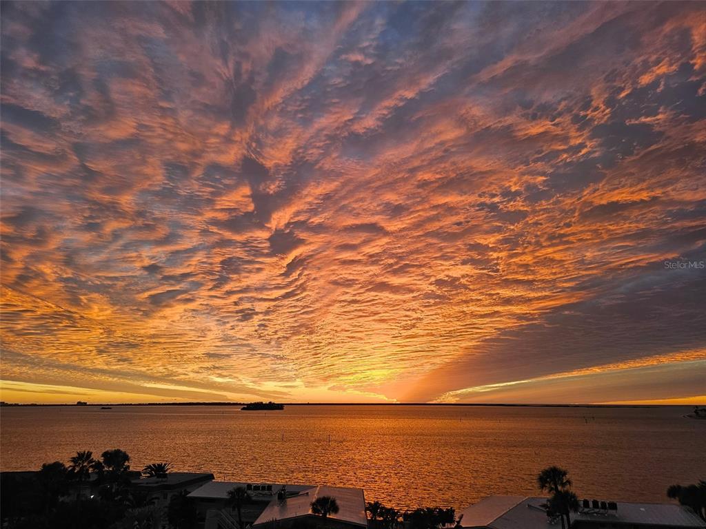 A vibrant sunset sky over a calm body of water with coastal buildings below — 2530 GARY CIRCLE UNIT 802, DUNEDIN, FL