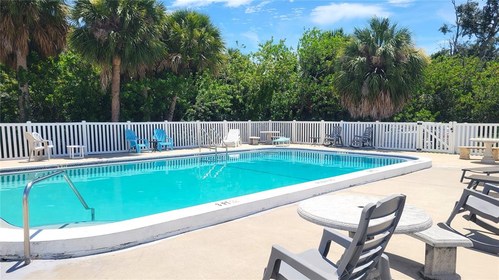 A rectangular outdoor swimming pool is surrounded by a concrete deck, lounge chairs, and palm trees — 4913 GETNER STREET, NEW PORT RICHEY, FL