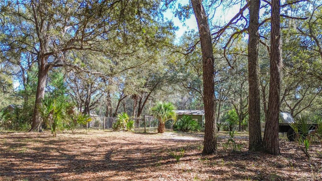 A wooded lot features a small shed, a chain-link fence, and a utility trailer — 13455 NE 228TH LANE ROAD, FORT MC COY, FL