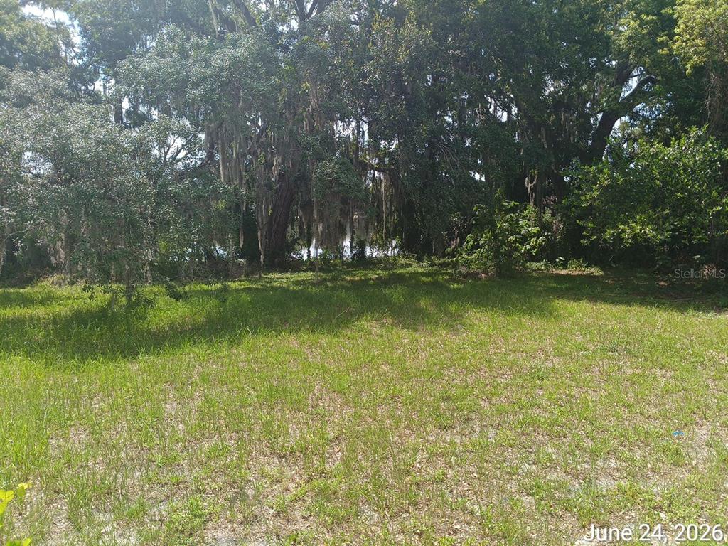 A grassy, open lot features mature trees with Spanish moss in the background — 7203 N 41ST STREET, TAMPA, FL