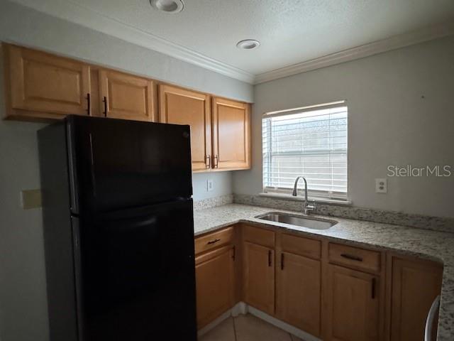 A kitchen features light wood cabinets, granite countertops, a black refrigerator, and a window — 616 PALMER STREET UNIT B, ORLANDO, FL