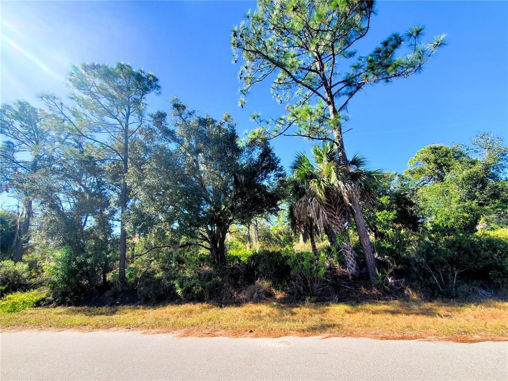 A paved road runs in front of a wooded lot with pine and palm trees — 1603 FRISCO TERRACE, PORT CHARLOTTE, FL