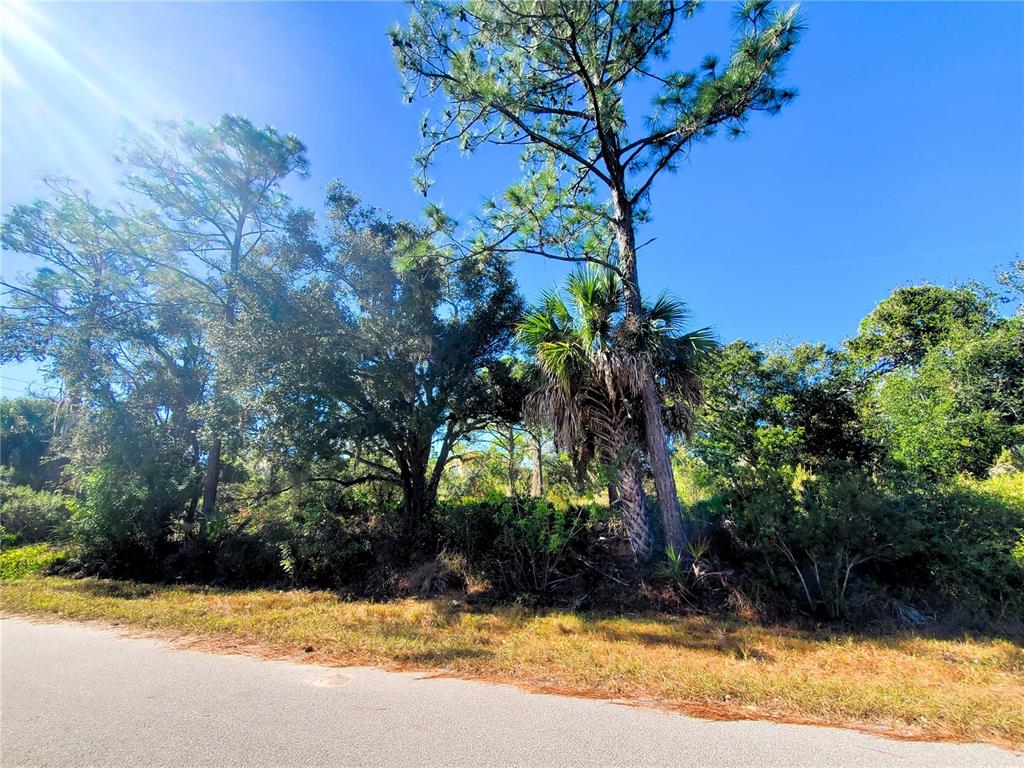 A paved road runs in front of a wooded lot with pine and palm trees — 1603 FRISCO TERRACE, PORT CHARLOTTE, FL