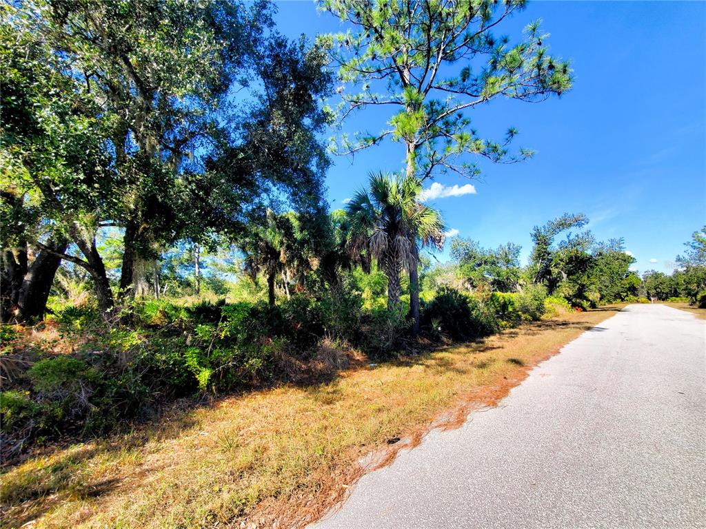 A paved road runs alongside a wooded lot with pine trees and palmettos — 1603 FRISCO TERRACE, PORT CHARLOTTE, FL