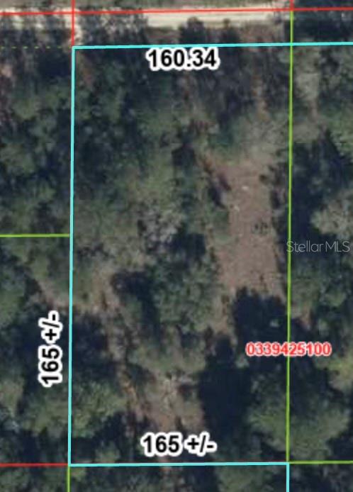 This is an aerial map showing the property boundaries and dimensions of a wooded lot — 000 NE 83RD LANE, BRONSON, FL