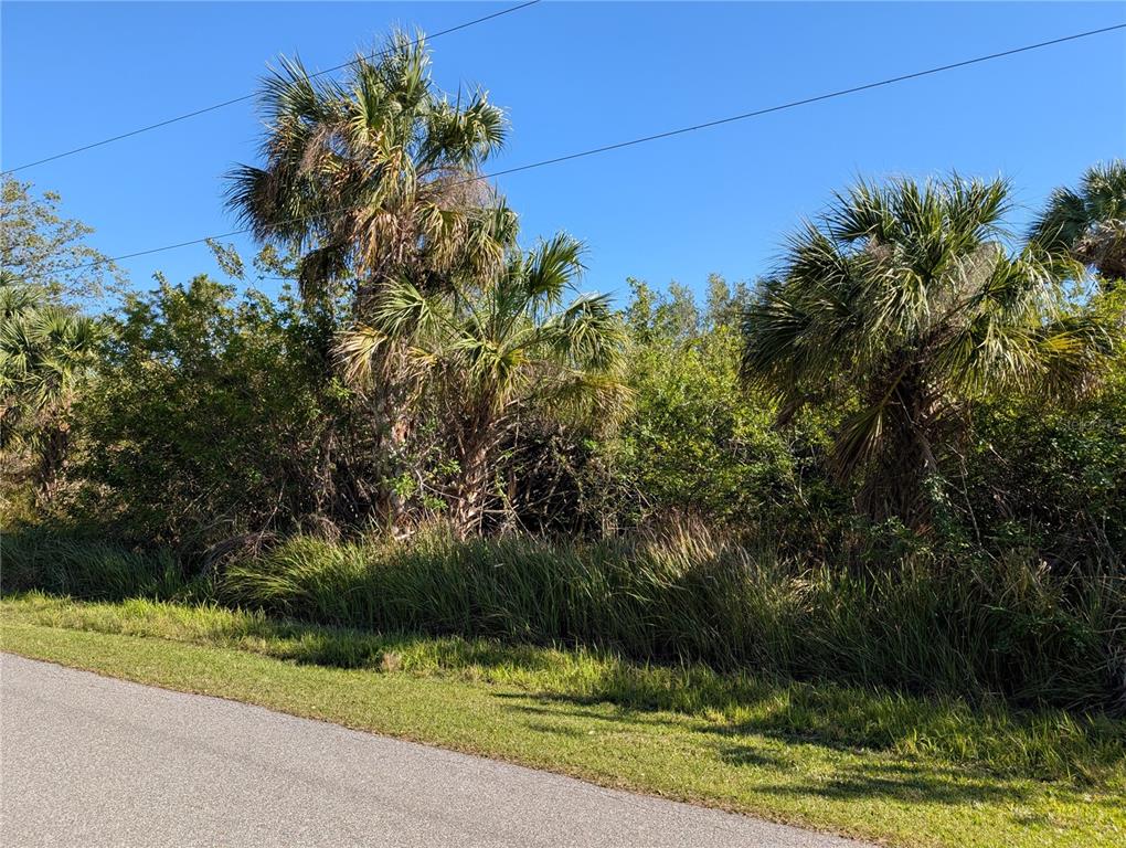 A paved road runs alongside a grassy area with palm trees and dense brush — 13057 BATLIN AVENUE, PORT CHARLOTTE, FL