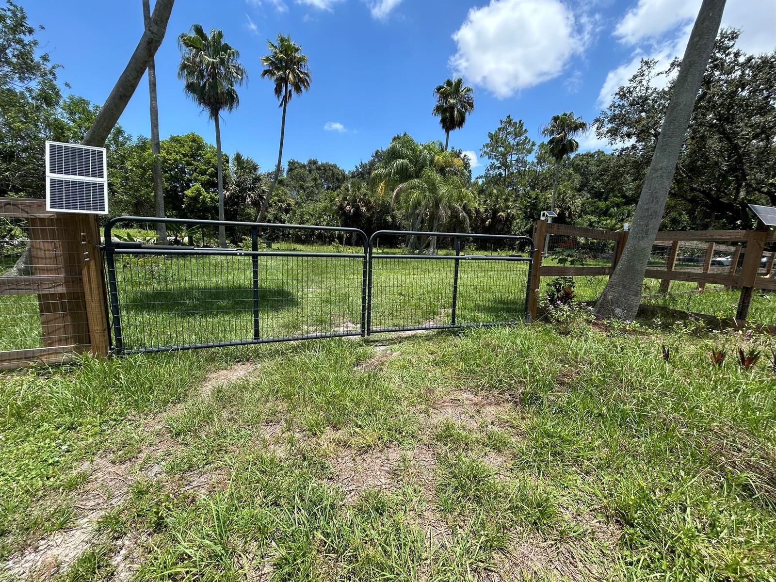 A metal wire gate stands in a grassy yard with palm trees and wooden fencing — 3208 A Road, FL 33470, FL