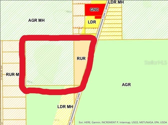 This is a zoning map showing land parcels with various designations highlighted by a red outline — 11656 S FLORIDA AVENUE, FLORAL CITY, FL