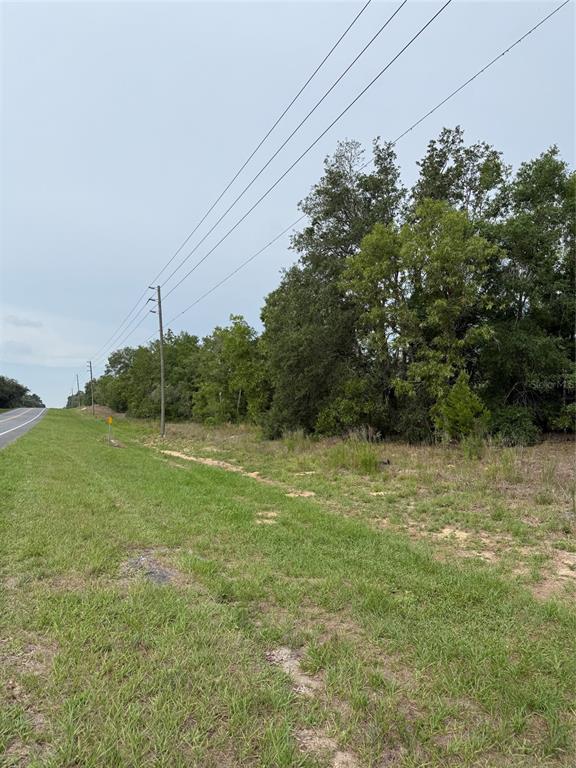A grassy roadside area features a line of utility poles and a dense tree line — 11656 S FLORIDA AVENUE, FLORAL CITY, FL