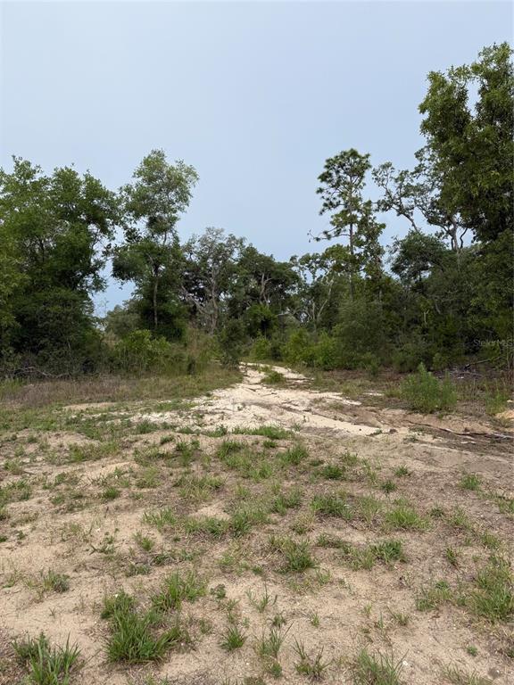 A sandy dirt path leads into a wooded area on a vacant lot — 11656 S FLORIDA AVENUE, FLORAL CITY, FL