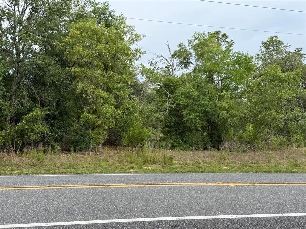 A paved road runs in front of a densely wooded, undeveloped plot of land — 11656 S FLORIDA AVENUE, FLORAL CITY, FL