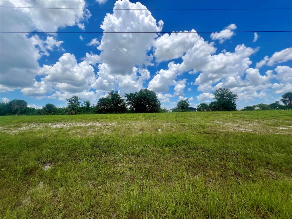 A grassy, vacant lot features scattered trees under a bright blue sky with large clouds — 1423 NW 8TH TERRACE, CAPE CORAL, FL