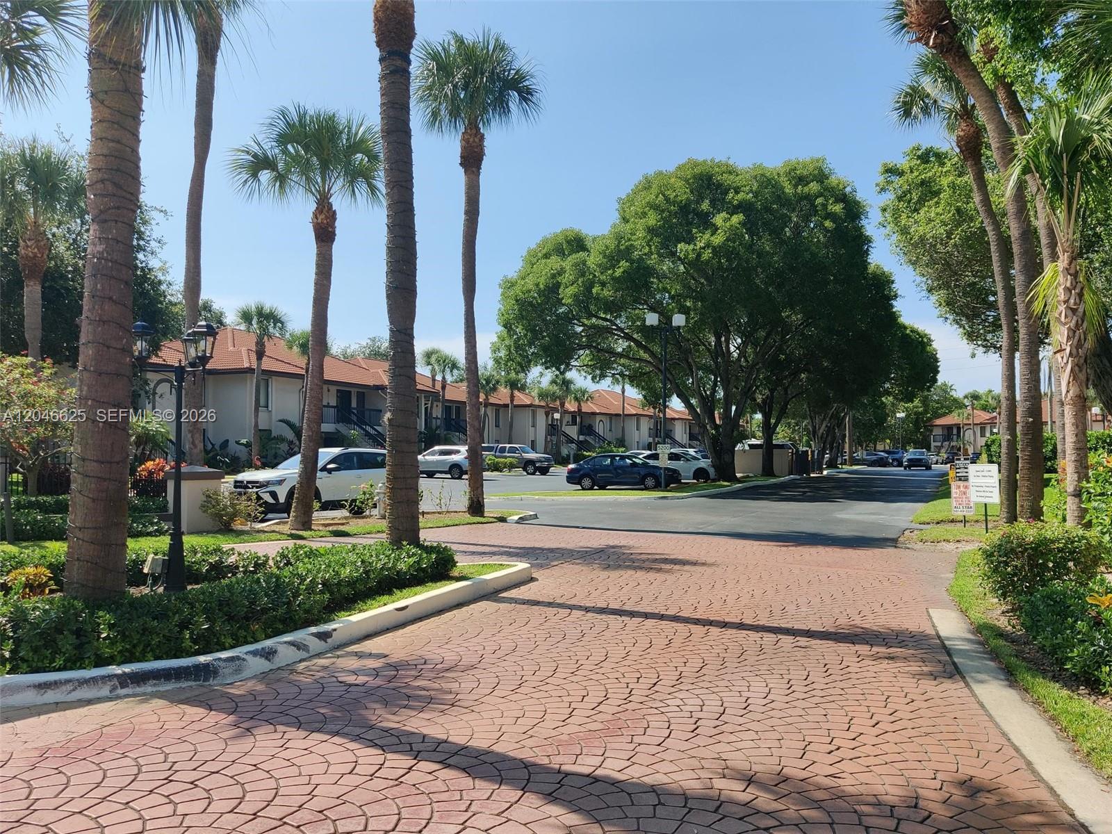 A paved driveway leads toward a parking lot surrounded by palm trees and residential buildings — 300 E Club Cir # 108, Boca Raton FL 33487, BOCA RATON, FL