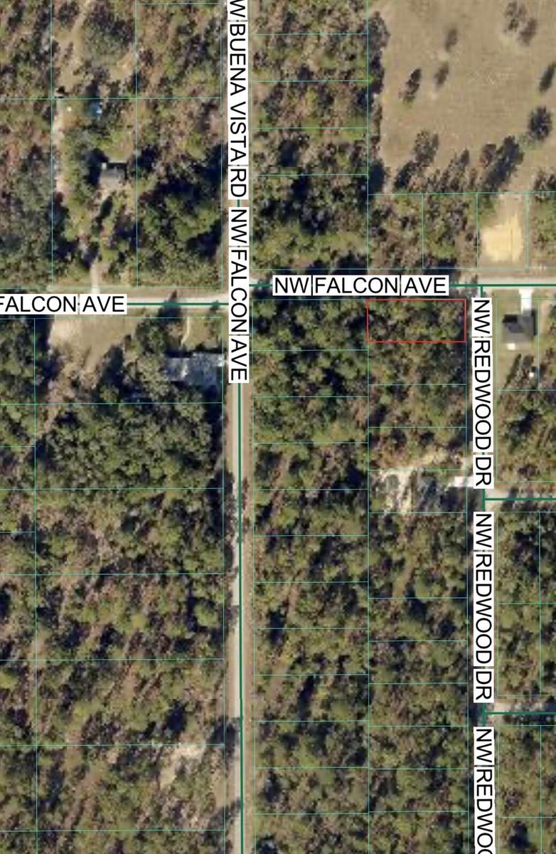 This is an aerial map showing a vacant lot outlined in red near a road intersection — Tbd NW Redwood Drive, FL 34431, FL