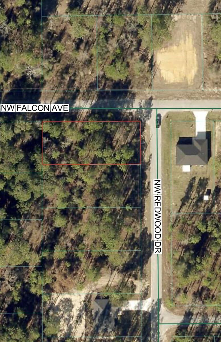 This is an aerial map showing a vacant, wooded residential lot outlined in red — Tbd NW Redwood Drive, FL 34431, FL
