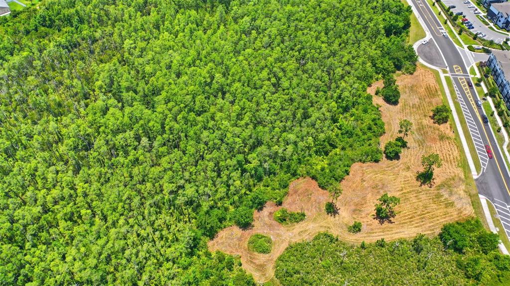 An aerial view shows a large wooded lot adjacent to a paved road and residential buildings — 00 CORPORATE CAMPUS WAY, ST CLOUD, FL