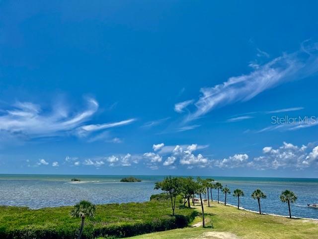 A view of a coastal landscape with palm trees, grassy terrain, and the ocean — 3280 SOUTHSHORE DRIVE UNIT 85C, PUNTA GORDA, FL