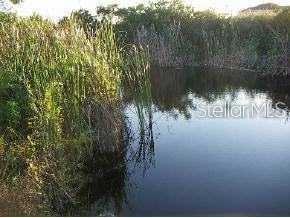 A small pond is surrounded by tall green grasses and dense vegetation — 1916 NE 33RD LANE, CAPE CORAL, FL